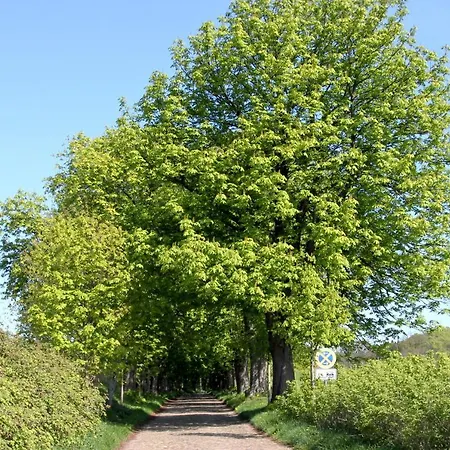 Viel Natur, Idyllische Umgebung, Ruhige Lage - 299