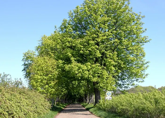 Viel Natur, Idyllische Umgebung, Ruhige Lage - 299